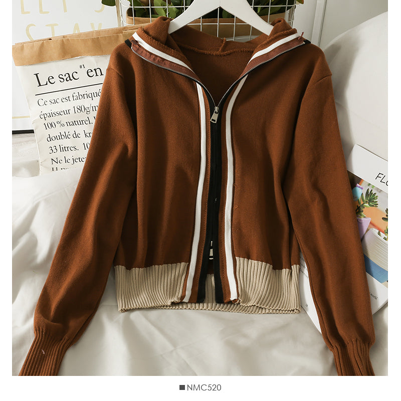 Pull à capuche pour femme, pull ample à rayures et fermeture éclair 2014