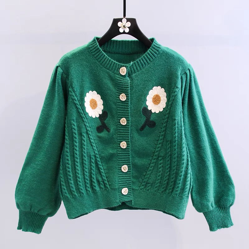 Joli cardigan à manches longues 017