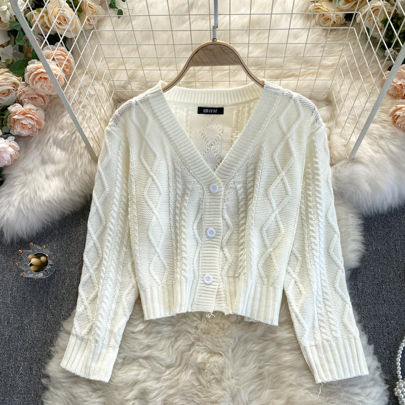 Pull cardigan tricoté à la mode en deux pièces 023