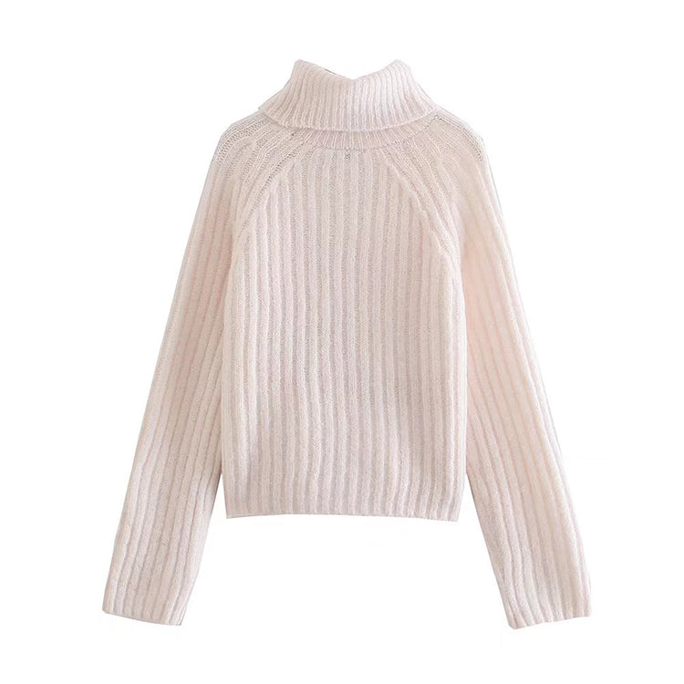 Vielseitiger schmaler Kurzripp-Rollkragenpullover 7474