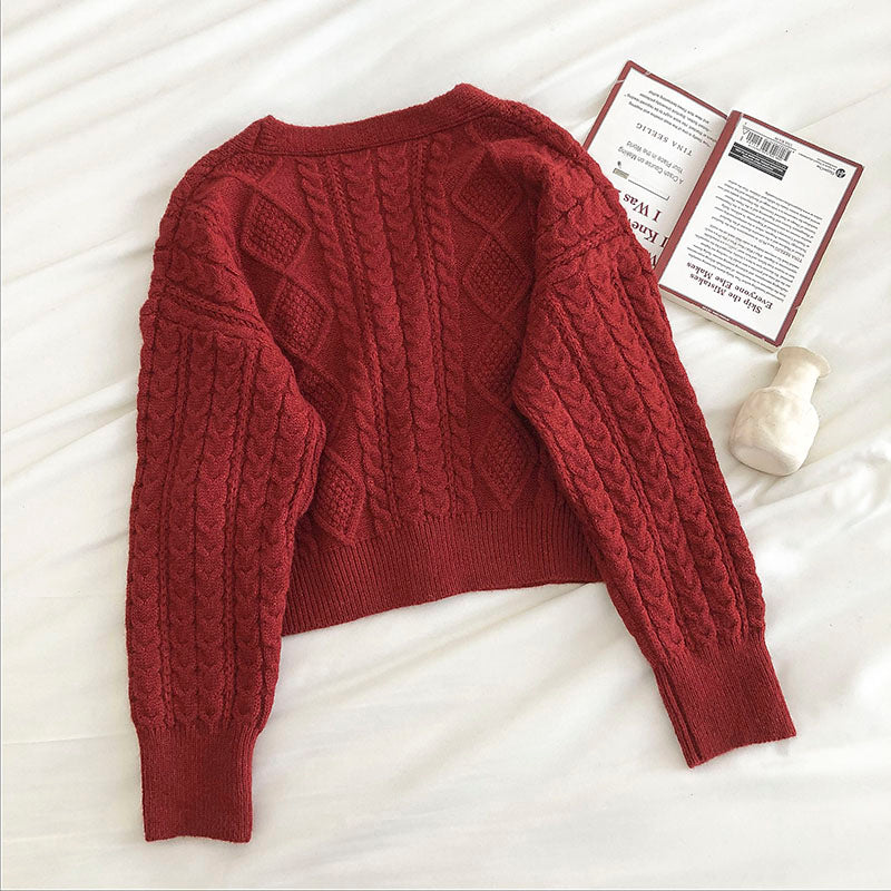 Nouveau cardigan ample à manches longues et torsadé à la mode rétro 5840