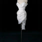 White homecoming dress short stylish Tulle prom dress evening dress birthday dress gh4473