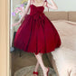 Red Homecoming Dress Short Velvet Prom Dress Evening Dress Birthday Dress gh4520