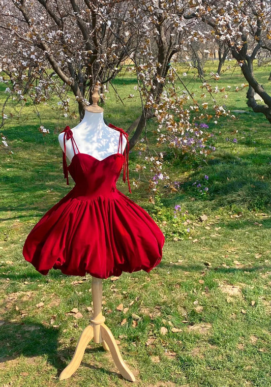 Red Homecoming Dress Short Velvet Prom Dress Evening Dress Birthday Dress gh4520