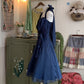 Blue Sparkly Sweet Elegant Short Chiffon Tulle Homecoming Dresses Evening Dresses Birthday Party Dresses Prom Dresses Prom Dresses gh3921