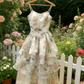 Pink & Green Floral Print Layered Organza Dress - Spring Fresh Style Gown gh6966
