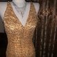 Gold Sequin Spaghetti Strap Fitted Waist Slim Sexy Prom Gown, Evening Dress, Graduation Prom Dress gh7262