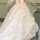 Blush Pink Spaghetti Strap High‑Low Prom Gown, Corset Bodice 3D Floral Appliqué Detachable Tulle Sleeve Formal Evening Dress gh8974
