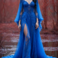 girlhomeshops-Long Sleeves Long Tulle Floor-Length Train Retro Elegant Ball Gown Evening Dress gh5943