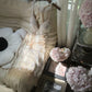 Ivory White Beaded Shiny Sequin Short Chiffon Homecoming Dress Prom Dress Party Dress gh4623