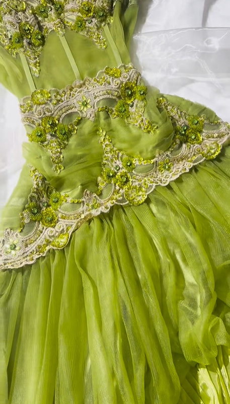 Elegant Vintage Light Green Spaghetti Strap Beaded Fitted Waist Prom & Evening Party Dress gh8506