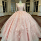 Ballkleid im königlichen Stil in zartem Rosa - V-Ausschnitt, Spitzenstickerei, Kleid für den großen Tag gh6967