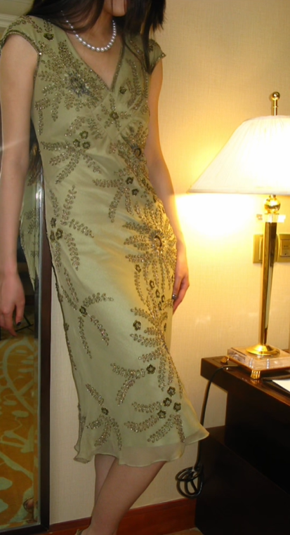 Light Green Vintage Beaded V-Neck Elegant Luxury Prom & Evening Party Dress gh8384