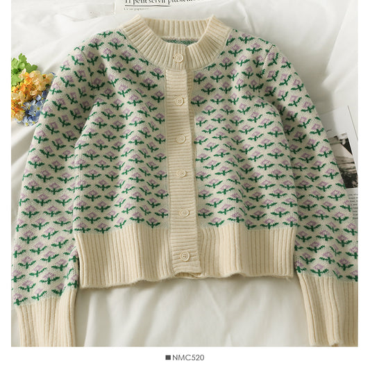 Pull femme automne couleur assortie imprimé manches longues tricoté haut 1956