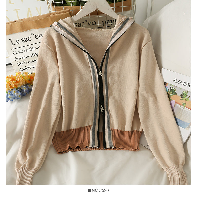Pull à capuche pour femme, pull ample à rayures et fermeture éclair 2014