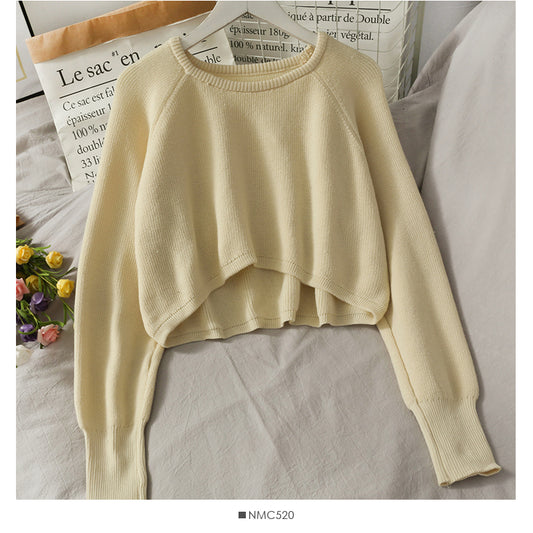 Pull-over devant court dos long minorité française femme 1700