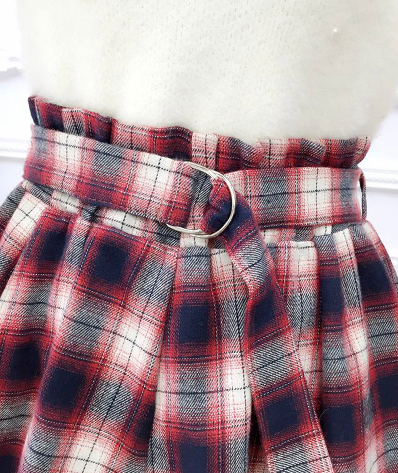 Cute A line pleated skirt plaid skirt  3480