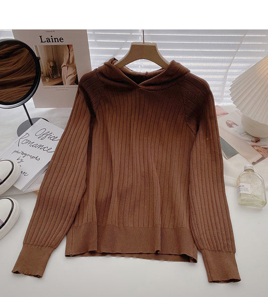 Pull à capuche simple et décontracté de couleur unie à manches longues 6556