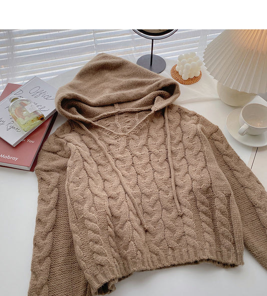 Pull à capuche design de niche, haut en tricot court à manches longues 5854
