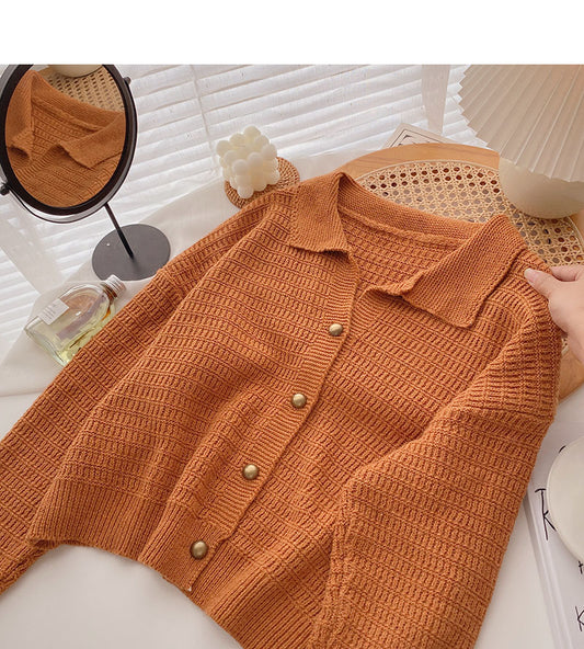 Haut en tricot ample à manches longues et revers vintage décontracté 5872