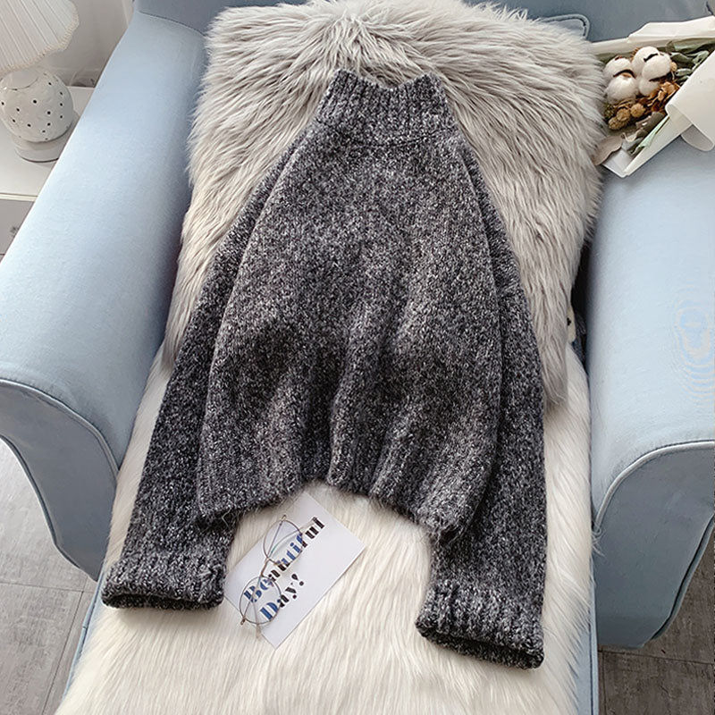 Pull col roulé avec doublure et pull à l'intérieur 5161
